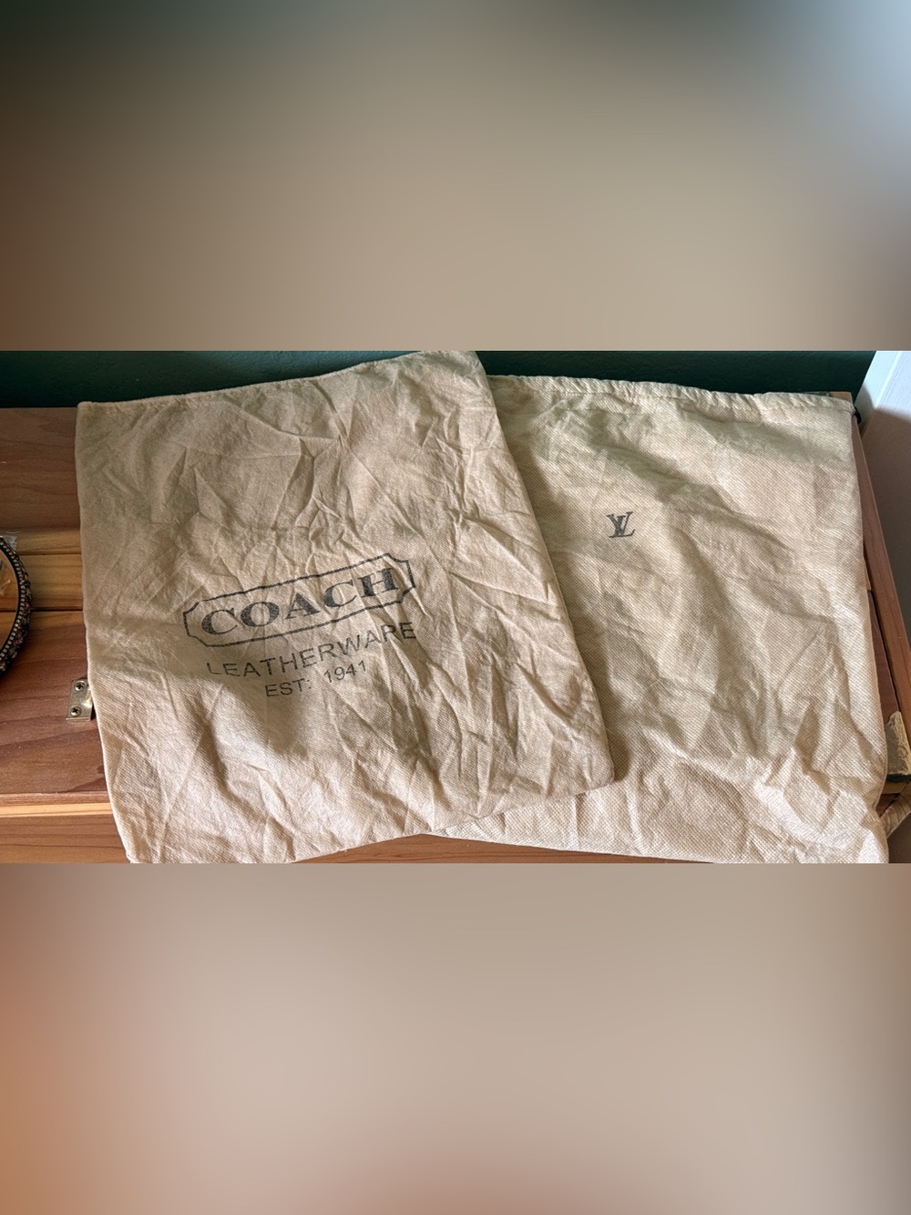 Coach & Louis Vuitton Dust Bags Lot of 2 Non-Woven Storage Bags 15” x 13”